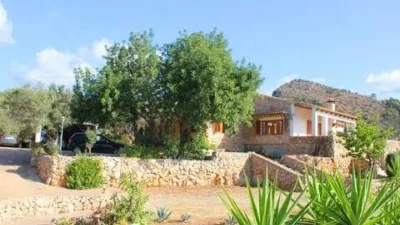 Rustic house in Bunyola photo 21