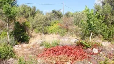 Rustic house in Bunyola photo 70