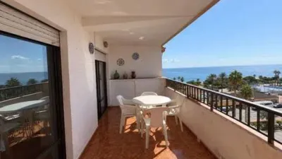 Pis – Torrevieja - Vista 2