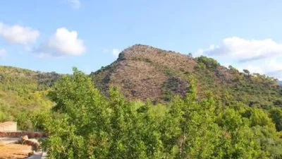 Rustic house in Bunyola photo 65
