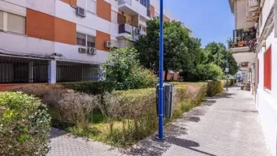 Apartment in Bellavista photo 25