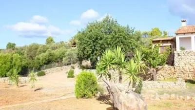 Rustic house in Bunyola photo 56