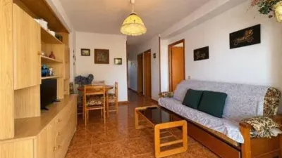 Pis – Torrevieja - Vista 5
