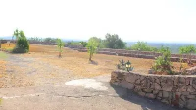 Rustic house in Bunyola photo 64