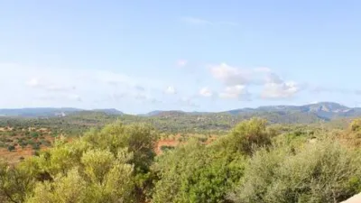 Rustic house in Bunyola photo 76