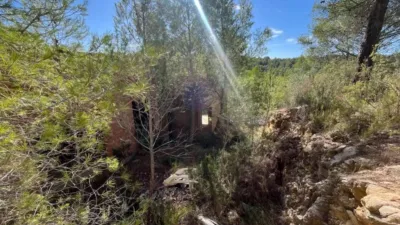 Chalet in La Bisbal del Penedès photo 36