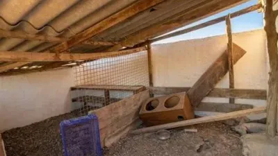 Rustic house on Calle Partida Cortijo Macias, 2 photo 9
