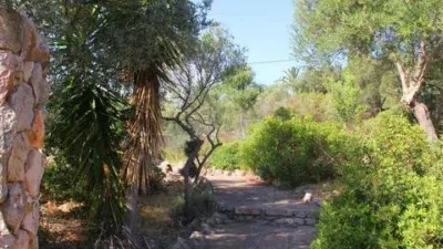 Rustic house in Bunyola photo 59