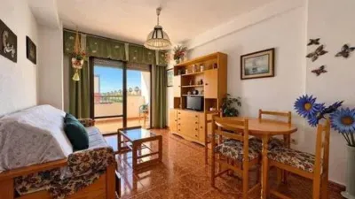Pis – Torrevieja - Vista 4