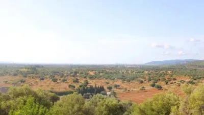 Rustic house in Bunyola photo 23