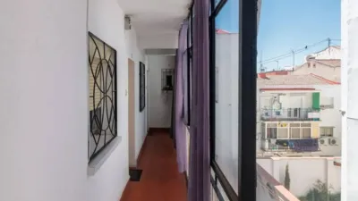 Apartment in Zofío photo 27