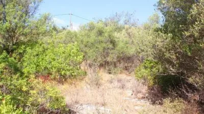 Rustic house in Bunyola photo 69