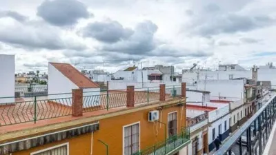 Apartment in Bellavista photo 14