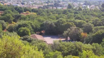 Rustic house in Bunyola photo 73