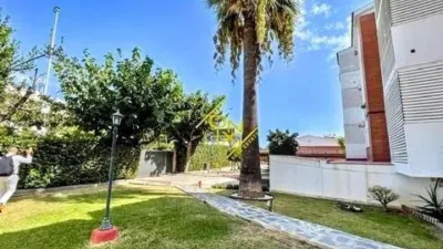 Apartment in Can Bou photo 25