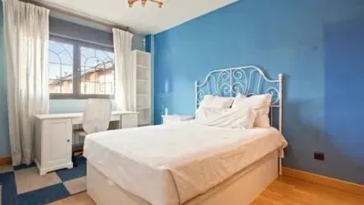 House in Centro photo 29