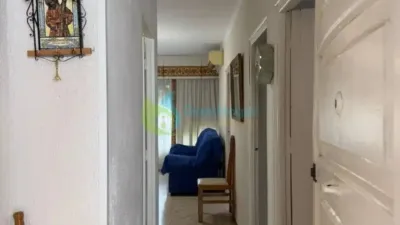 Apartment in Seville City Centre photo 5