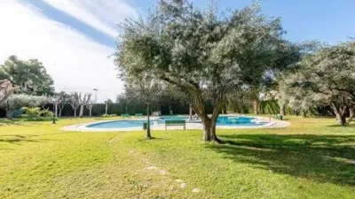 Chalet en Mutxamel photo 31