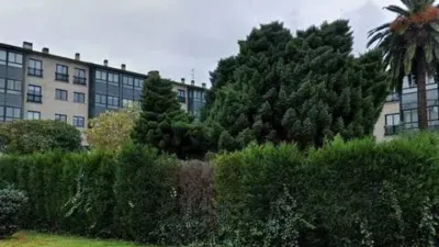 Apartment in Perillo photo 44