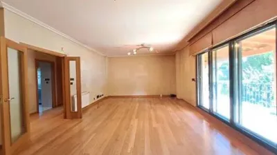 Apartment in Perillo photo 14