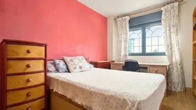 House in Centro photo 32