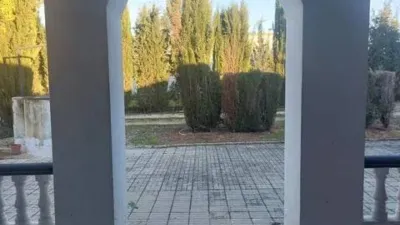 Rustic house in Fuente Palmera photo 6