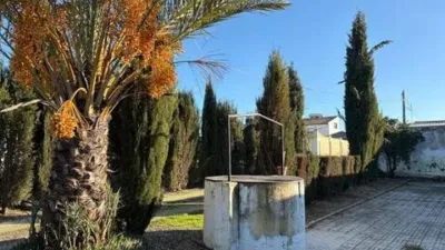 Rustic house in Fuente Palmera photo 37