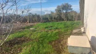 Rustic house in Fuente Palmera photo 18