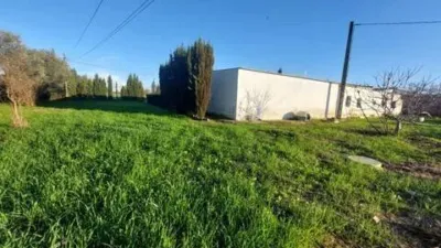 Rustic house in Fuente Palmera photo 20