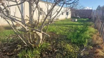 Rustic house in Fuente Palmera photo 19