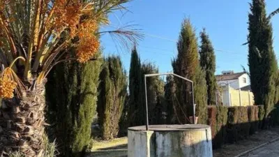 Rustic house in Fuente Palmera photo 39