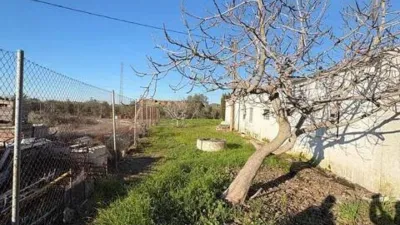 Rustic house in Fuente Palmera photo 44