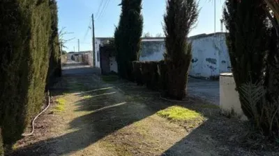 Rustic house in Fuente Palmera photo 45
