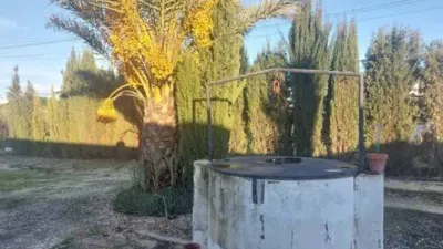 Rustic house in Fuente Palmera photo 31