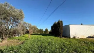 Rustic house in Fuente Palmera photo 41