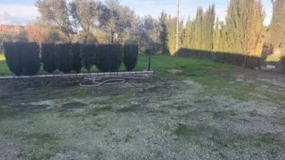 Rustic house in Fuente Palmera photo 30