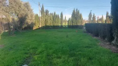 Rustic house in Fuente Palmera photo 23