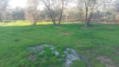Rustic house in Fuente Palmera photo 27