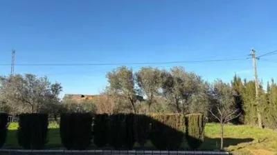 Rustic house in Fuente Palmera photo 38