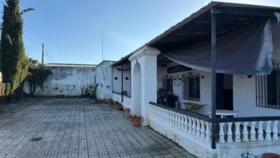 Rustic house in Fuente Palmera photo 4