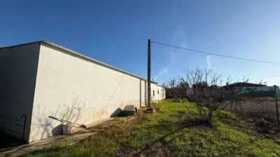 Rustic house in Fuente Palmera photo 42