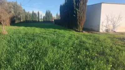Rustic house in Fuente Palmera photo 21