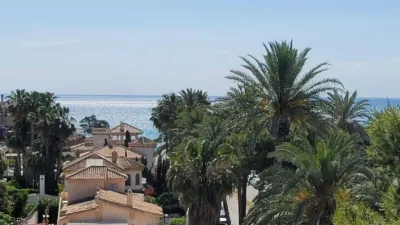 Apartment in Cabo Roig-La Zenia-La Regia photo 8
