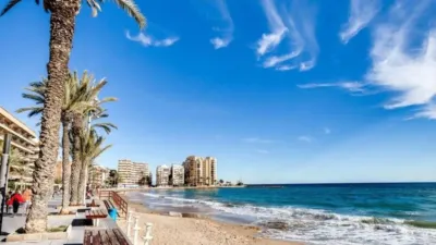 Apartment in Playa del Cura photo 35