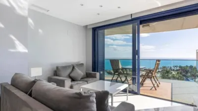 Pis – Torrevieja - Vista 2