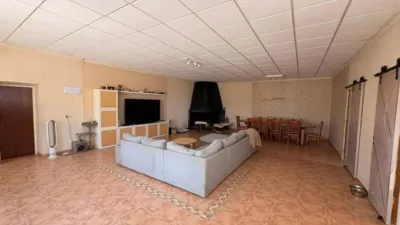 Rustic house in Jumilla photo 20