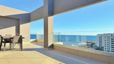 Pis – Torrevieja - Més