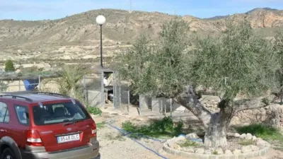 Chalet in Abanilla photo 25