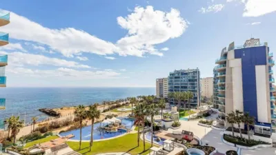 Pis – Torrevieja - Vista 3