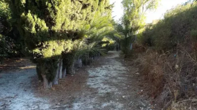 Rustic house in Abanilla photo 12